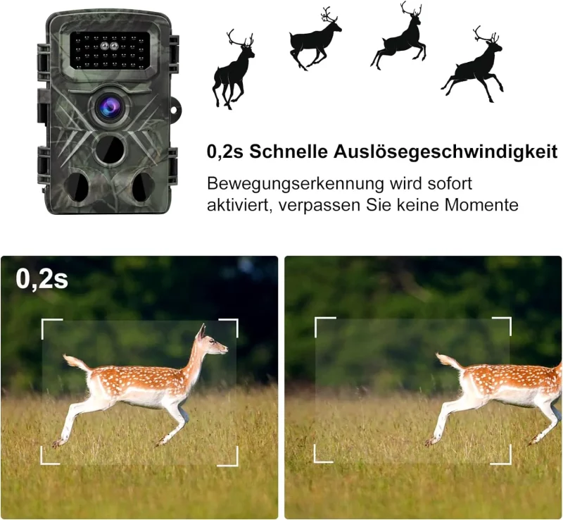 دوربین تله ای، شکار و حیات وحش (Trail Camera) مدل PR3000 - تصویر 11