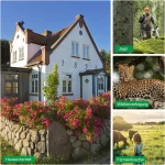 دوربین تله ای و شکار و حیات وحش (Trail Camera) مدل DL100 - تصویر 6