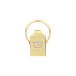TRUEBYTE T1 USB2.0 Flash Memory-16GB طلایی (گارانتی مادام العمر شرکت آی تین) - تصویر 3