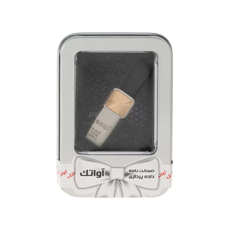 BEXO B-509 USB2.0 Flash Memory - 16GB (گارانتی داده پردازی آواتک) پک هدیه - طلایی - تصویر 3