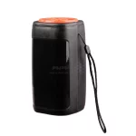 اسپیکر بی سیم Greatnice مدل GTS-1732 - مشکی - تصویر 4