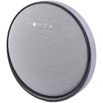 اسپیکر بی سیم Hicostar مدل HS-BS290 40W - خاکستری
