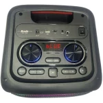اسپیکر 80W بی سیم Brodu مدل BTS-1910 - مشکی - تصویر 5