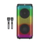 اسپیکر 80W بی سیم Brodu مدل BTS-1908 - مشکی