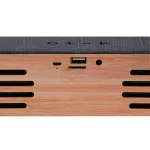 اسپیکر پرتابل بدنه چوبی ProOne مدل (SK10)PSB4101-مشکی - تصویر 6