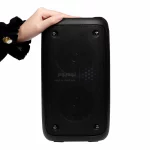 اسپیکر20W بی سیم BIG SOUND مدل KTS-1710 - مشکی - تصویر 5