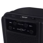 اسپیکر بی سیم GreatNice مدل GTS-2158 - مشکی - تصویر 6