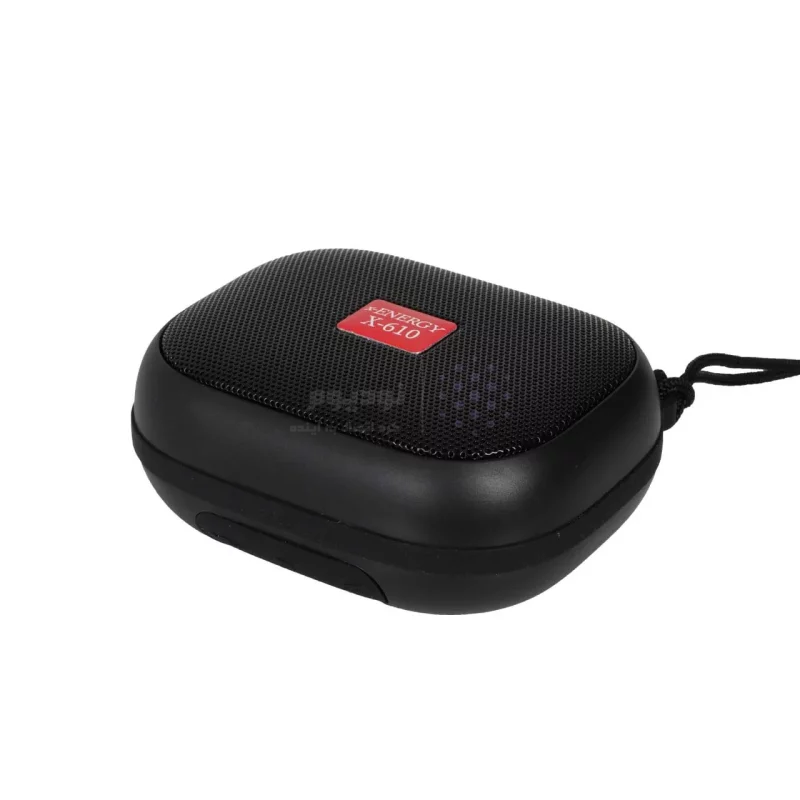اسپیکر بی سیم X-Energy مدل X-610 - مشکی (گارانتی IPM) - تصویر 5