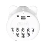 اسپیکر بلوتوثی شارژی همراه با دو میکروفون Yesido مدل YSW36 RGB Karaoke - مشکی (گارانتی 18 ماه تعویض نیکان همراه) - تصویر 6