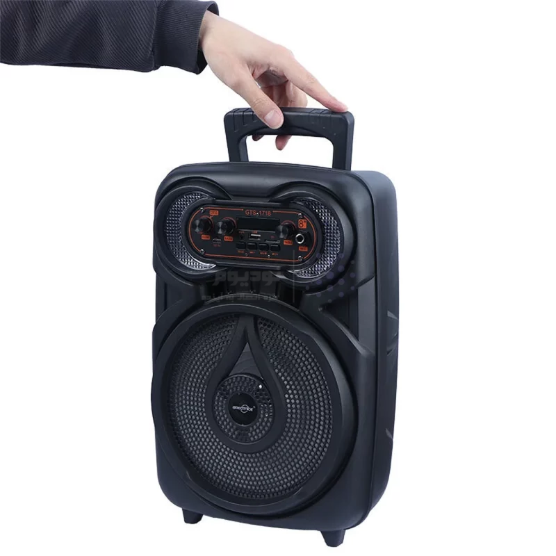 اسپیکر بی سیم Greatnice مدل GTS-1718 - مشکی - TCO - تصویر 6