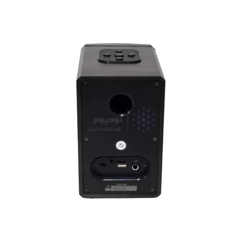 اسپیکر بی سیم Brodu مدل BTS-1321 - مشکی - TCO - تصویر 4