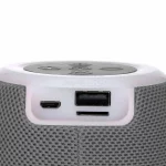 اسپیکر بی سیم Greatnice مدل GTS-1468 - طوسی - TCO - تصویر 5