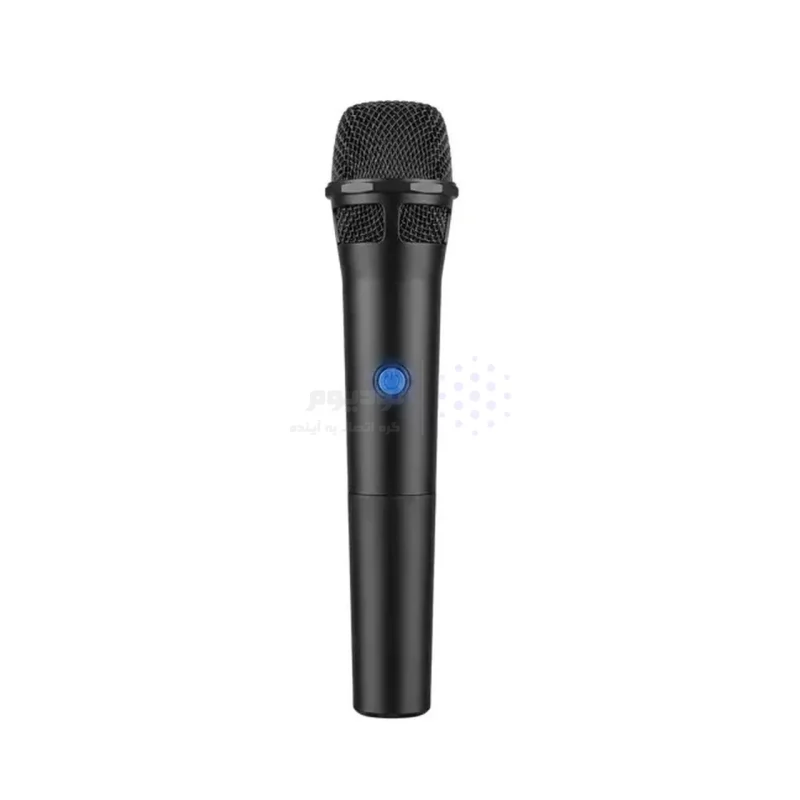 اسپیکر بی سیم BIG SOUND مدل KTS-2195 - مشکی - ASP (گارانتی شش ماهه آروین سپهر) - تصویر 6