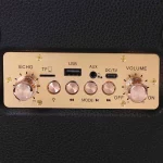 اسپیکر بی سیم TRANYOO مدل T-BS60 - مشکی - تصویر 6