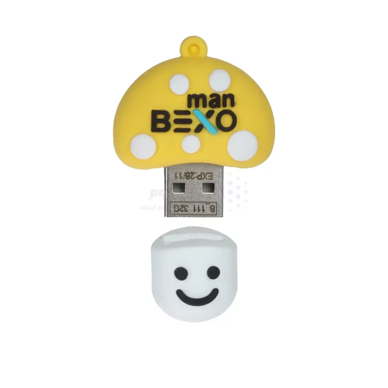 فلش مموری BEXO USB2.0 مدل BX-111 ظرفیت 32GB - عروسکی (گارانتی داده پردازی آواتک) - تصویر 4