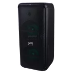اسپیکر بی سیم Brodu مدل BTS-2225 75W - مشکی - ASP (گارانتی شش ماهه آروین سپهر) - تصویر 3
