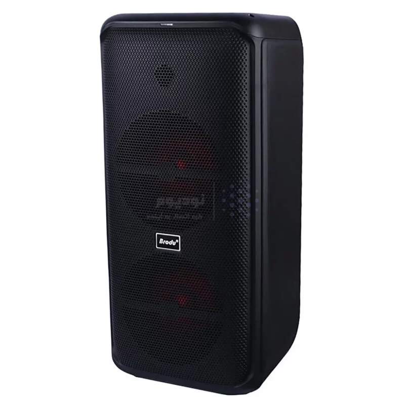 اسپیکر بی سیم Brodu مدل BTS-2225 75W - مشکی - ASP (گارانتی شش ماهه آروین سپهر) - تصویر 6