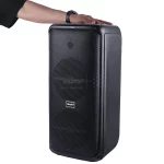 اسپیکر بی سیم Brodu مدل BTS-2225 75W - مشکی - ASP (گارانتی شش ماهه آروین سپهر) - تصویر 8