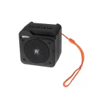 اسپیکر بی سیم مدل DV-1132 - مشکی - NZR