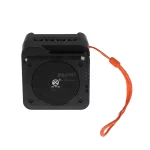 اسپیکر بی سیم مدل DV-1132 - مشکی - NZR - تصویر 3