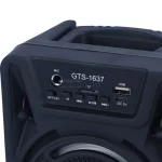 اسپیکر بی سیم GreatNice مدل GTS-1637 - مشکی - TCO - تصویر 6