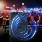 اسپیکر بی سیم GreatNice مدل GTS-2117 - مشکی - TCO - تصویر 6