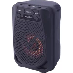 اسپیکر بی سیم GreatNice مدل GTS-2116 - مشکی - TCO - تصویر 6