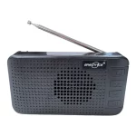اسپیکر رادیو بی سیم GreatNice مدل GTS-2543 - مشکی - TCO