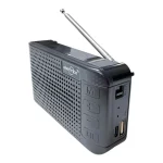 اسپیکر رادیو بی سیم GreatNice مدل GTS-2543 - مشکی - TCO - تصویر 4