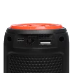 اسپیکر بی سیم Greatnice مدل GTS-1731 - مشکی - تصویر 5