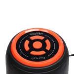 اسپیکر بی سیم Greatnice مدل GTS-1731 - مشکی - تصویر 7