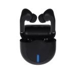 ایرفون بی سیم مدل Buds Pro 10 ANC ENC - مشکی - RH
